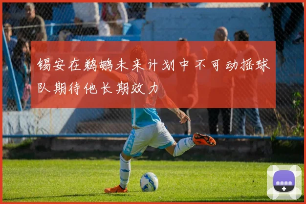 锡安在鹈鹕未来计划中不可动摇球队期待他长期效力